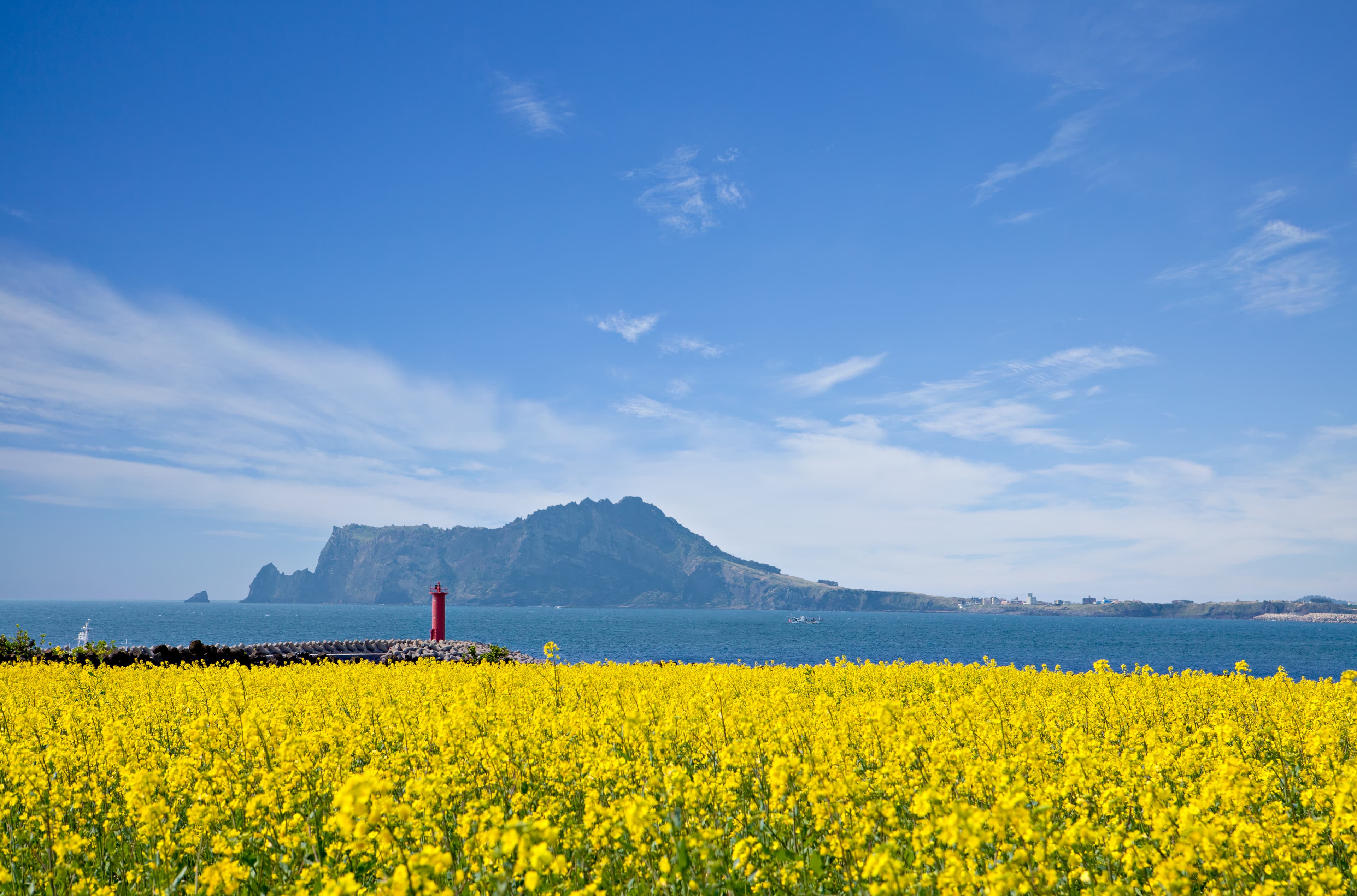 Spring Escape to Jeju