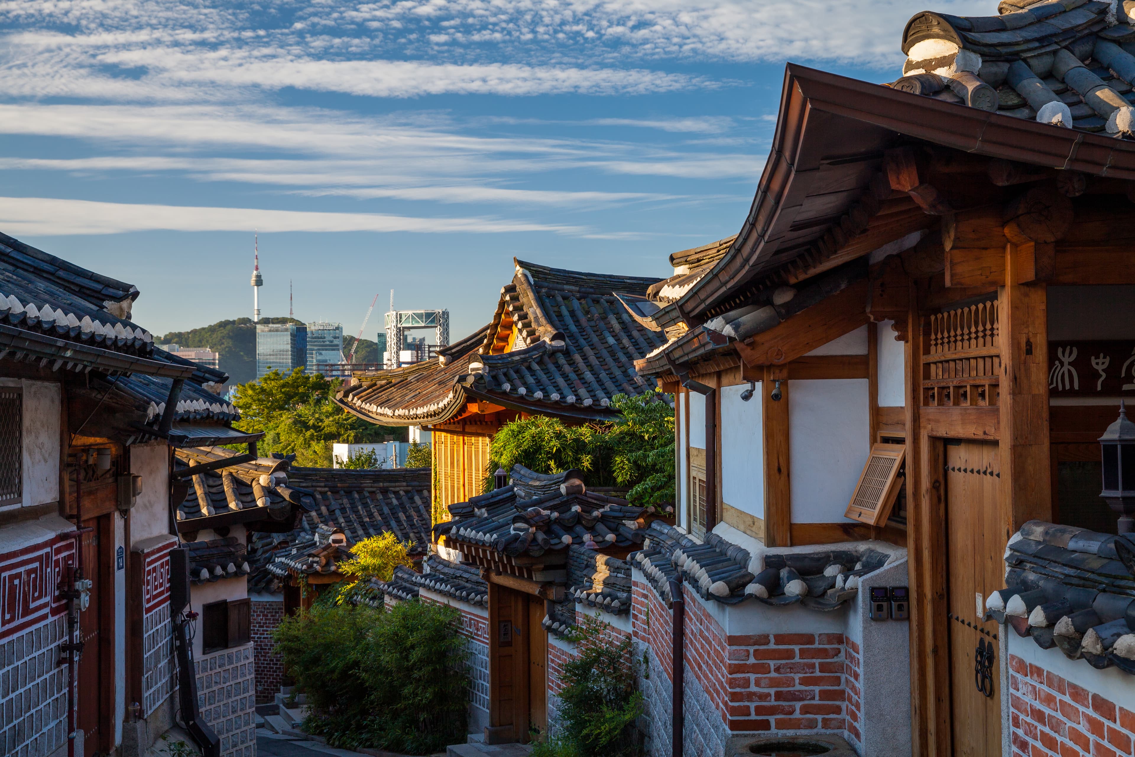 Spring Moments in Seoul