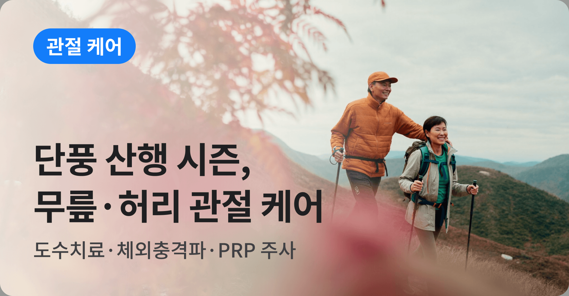 단풍 산행 시즌, 무릎·허리 관절 케어
