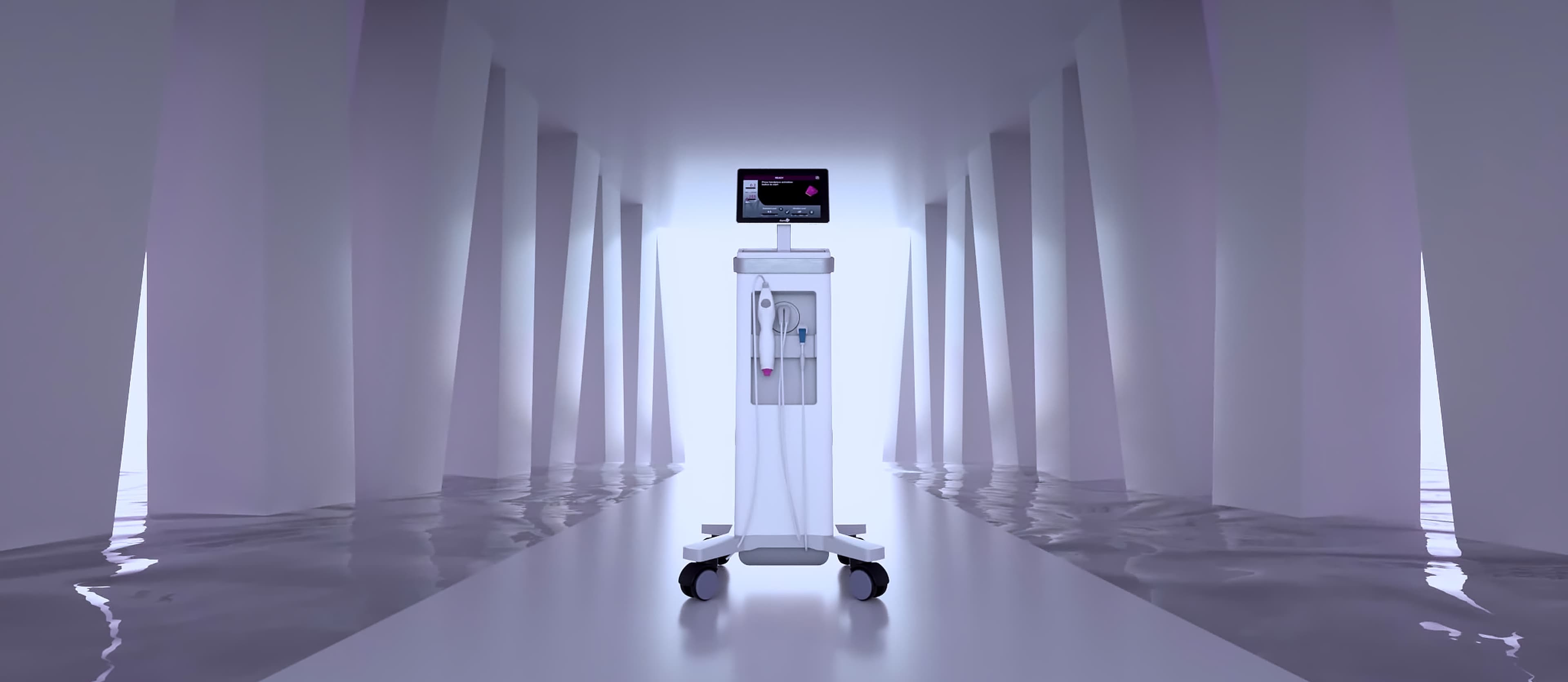 Thermage FLX