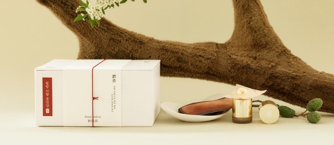 Premium Gongjindan Wellness Program