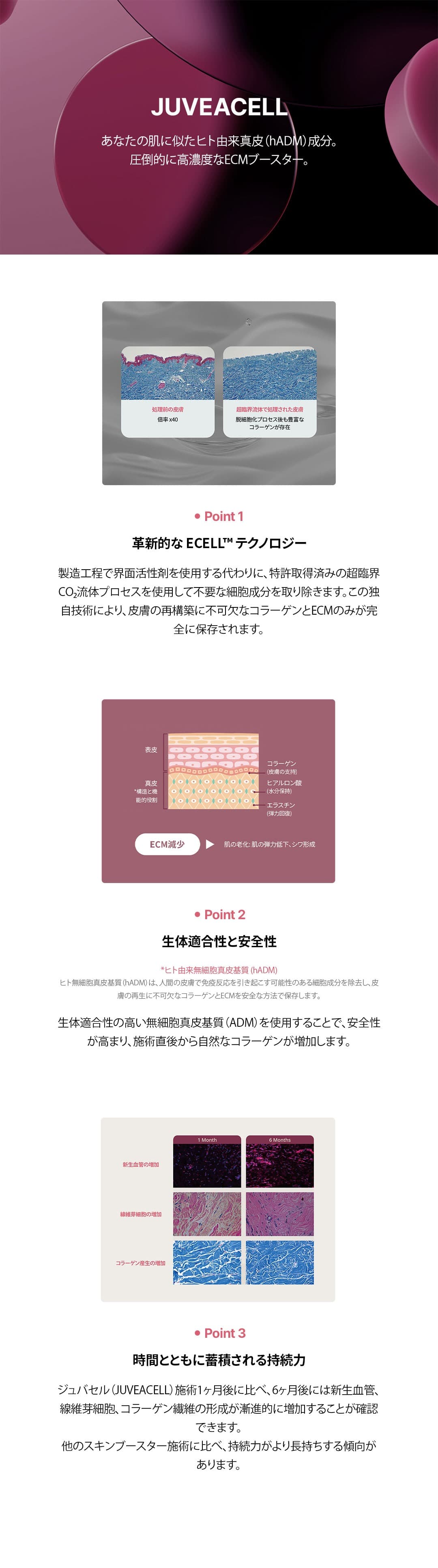 詳細情報