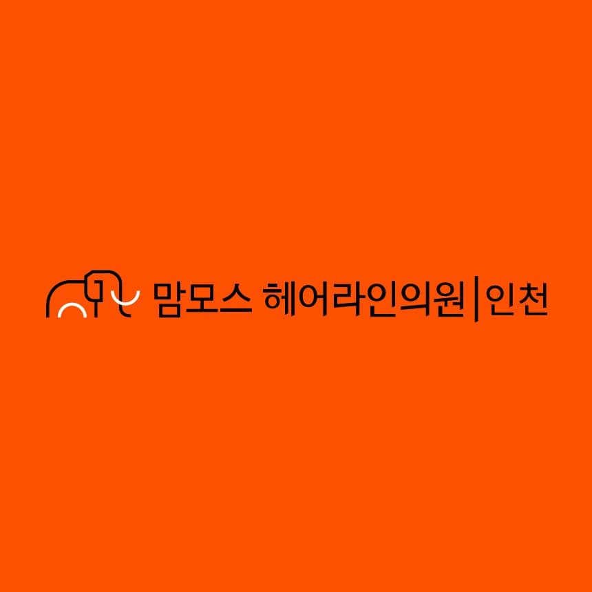 인천 맘모스헤어라인 모발이식