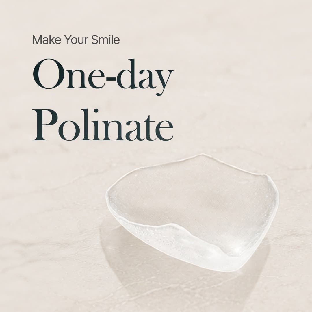 하루 완성 라미네이트 비니어, POLiNATE