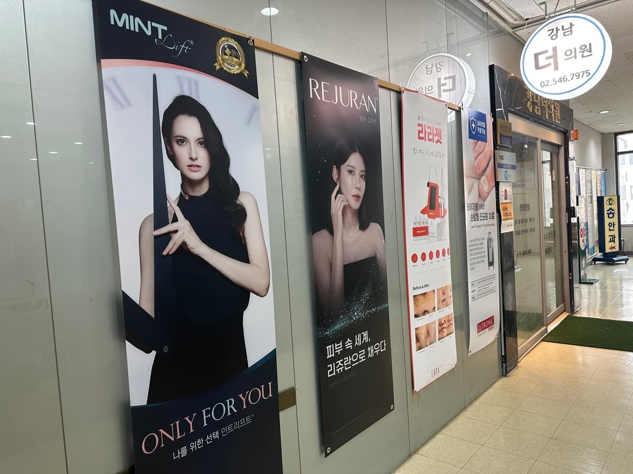 강남더의원 1