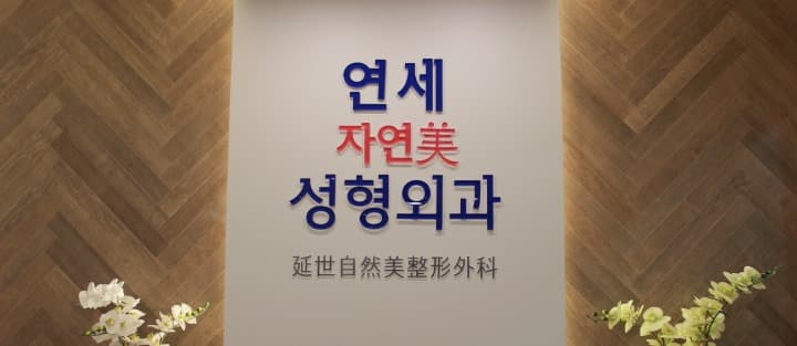延世自然美整形外科 5