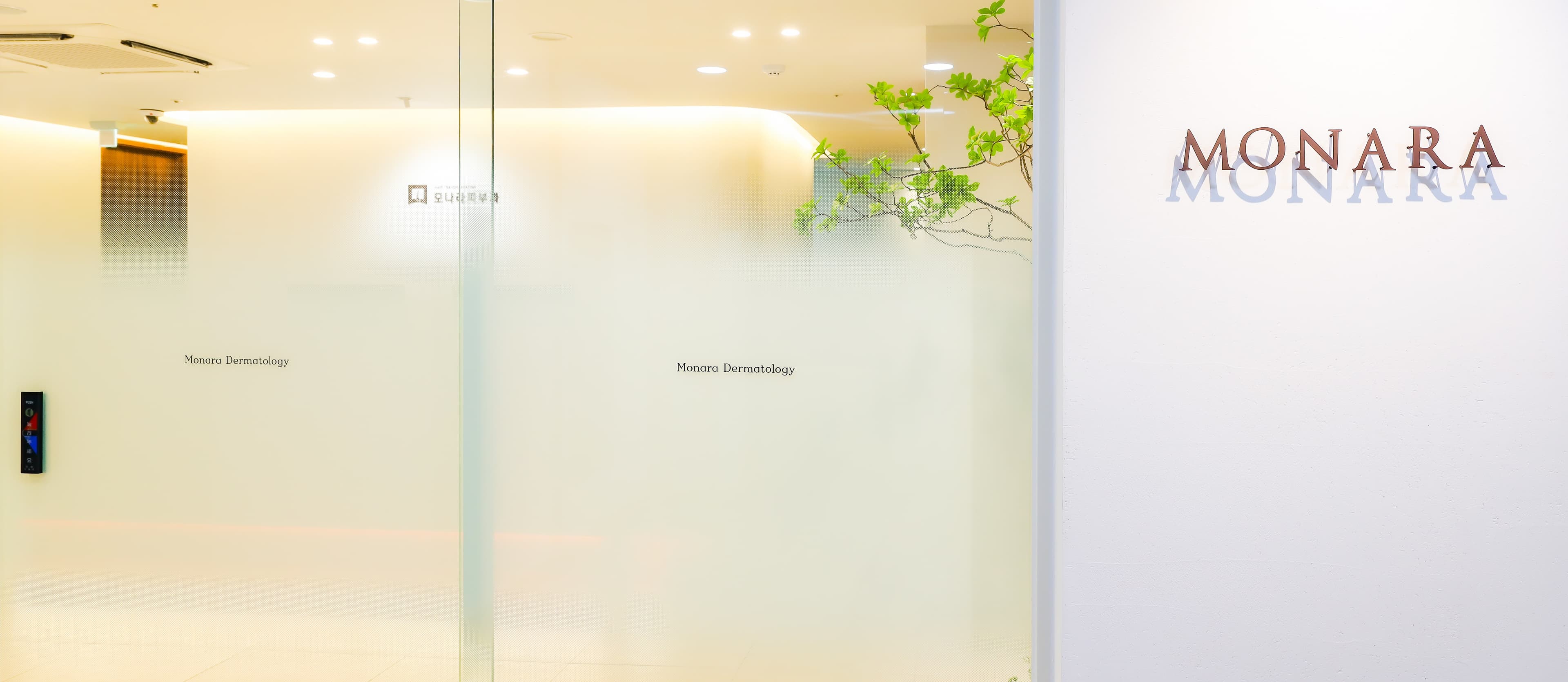 MONARA dermatology 1