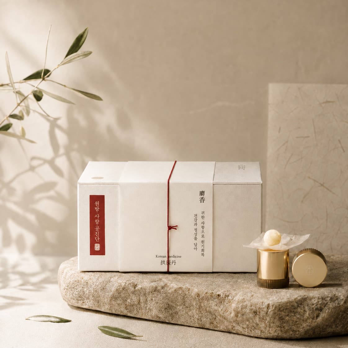Premium Gongjindan Wellness Program