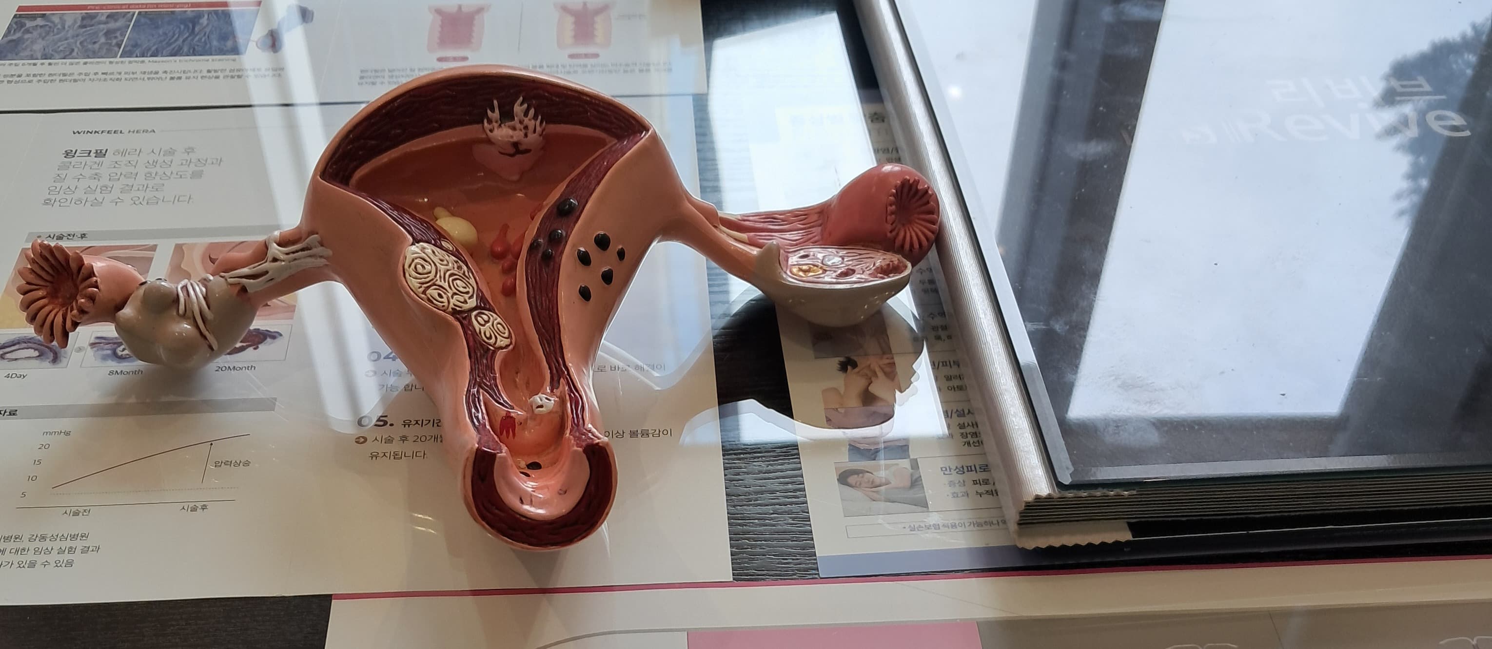 羅恩婦產科 江南院 5
